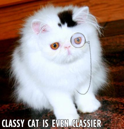 IMAGE(http://thedingleberry.files.wordpress.com/2011/11/classy-cat-is-even-classier-17398-1281572456-4.jpg)